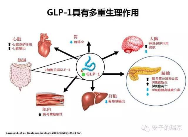 澳门新葡平台网址8883入口