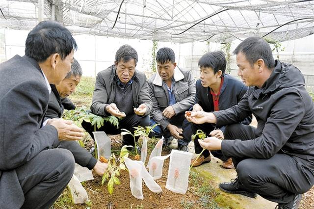 澳门新葡平台网址8883入口