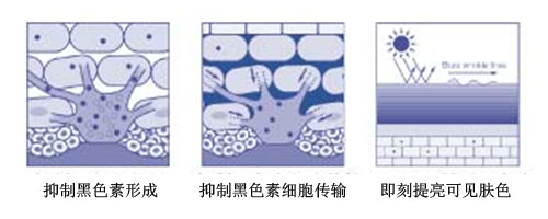 澳门新葡平台网址8883