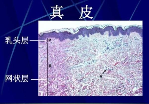 澳门新葡平台网址8883